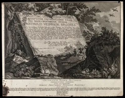 An inscribed stoneplate embedded in the ground in a forest surrounded by animals and plants