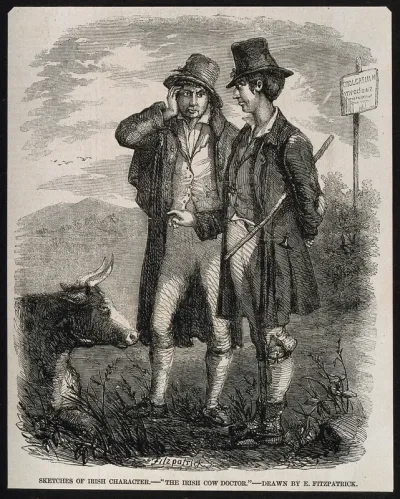 An Irish cow doctor points to a kneeling cow, observed by its concerned owner