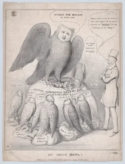 An Irish Howl [Owl]!