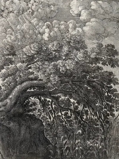 An oak overhangs a pond in which bullrushes are growing; illustration of a fable by Aesop