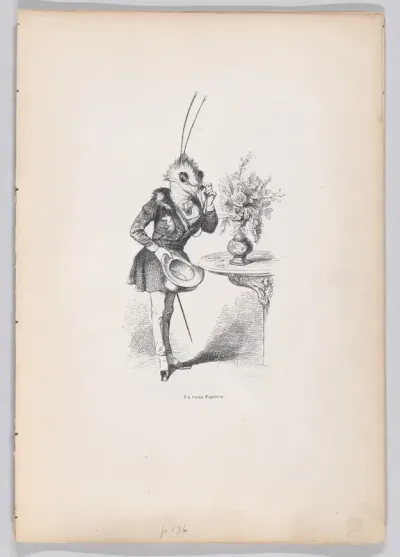 An Old Butterfly, from "Scenes from the Private and Public Life of Animals"