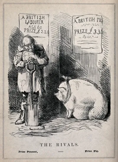An old farm labourer is valued at 2 guineas but a prize pig is valued at 3 guineas