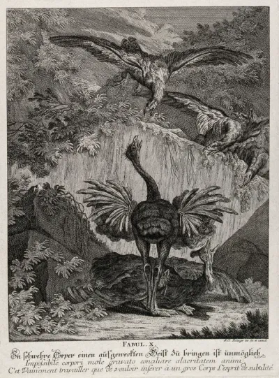 An old ibex is dancing in an unrestrained manner with a crowd of wild animals watching the spectacle in disbelief