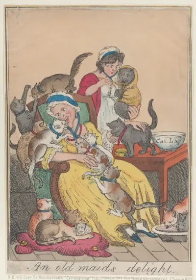 An Old Maid's Delight