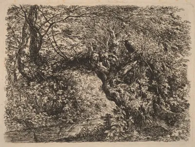 An Old Willow by a Stream