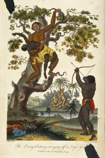 An orang-utan carrying a girl into a tree as a man shoots arrows from below