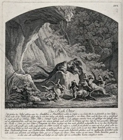 An otter, tracked down by dogs in a forest ravine, is held down by one dog about to bite it in the throat