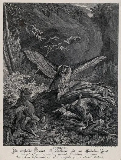 An owl is about to settle on its prey when it is attacked by two foxes and a lynx from underneath the trunk