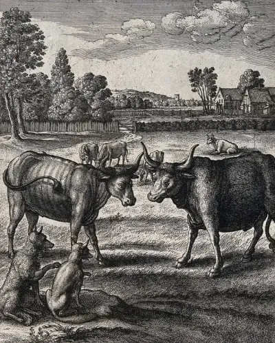 An ox and a steer face each other in a field watched on by a fox and a wolf; illustration for a fable by J