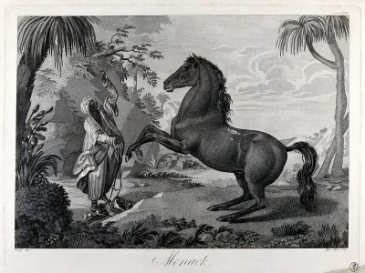 An unbridled horse rears as a dark-skinned man in exotic costume tries to subdue it, in an exotic landscape