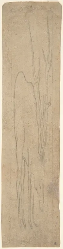 Anamorphic Drawing of a Stag
