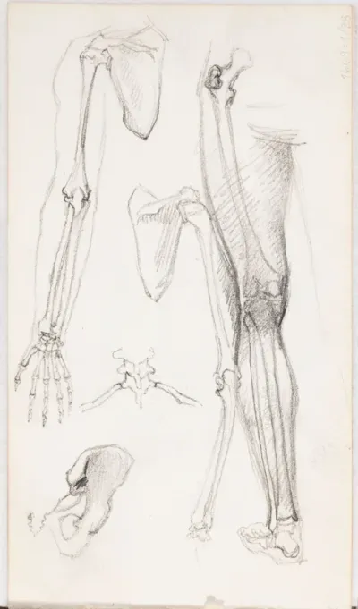 Anatoimiatutkielmia