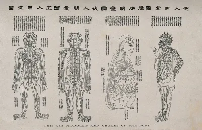 Anatomical chart, showing the air channels and organs of the body; four figures