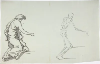 Anatomical drawing