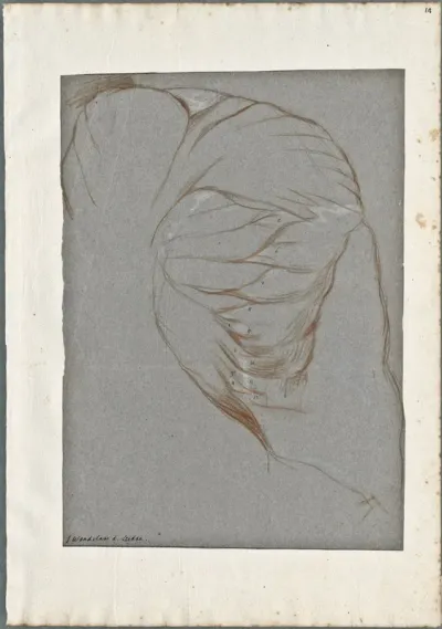 Anatomical drawings: muscles of the shoulder