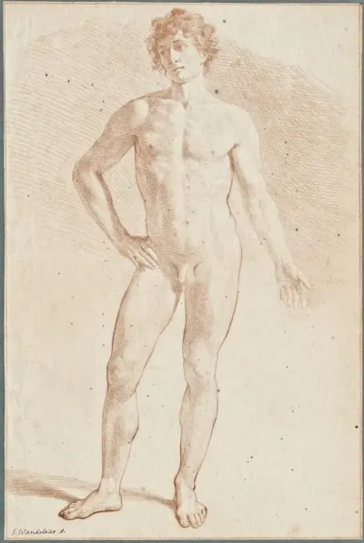 Anatomical drawings: standing young man, frontal view