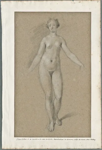 Anatomical drawings: standing young woman, frontal view