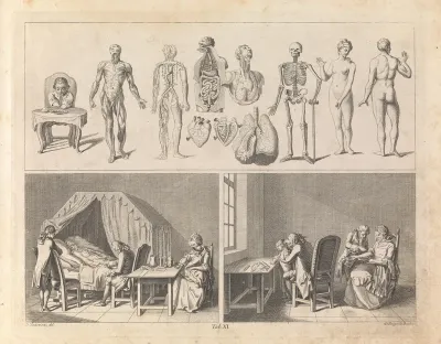 Anatomical figures (top); a physician takes the pulse of a sick man while the next two generations attend (bottom left); surgeons perform operations on a child and a woman