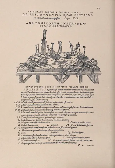 Anatomical instruments on a table used for vivisection