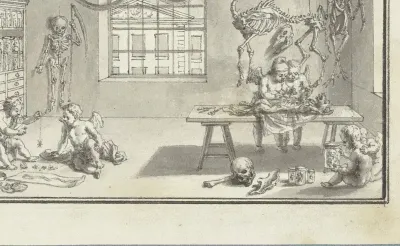 Anatomie en Natuurgeschiedenis