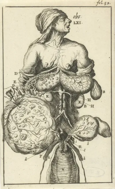 Anatomische afbeelding II