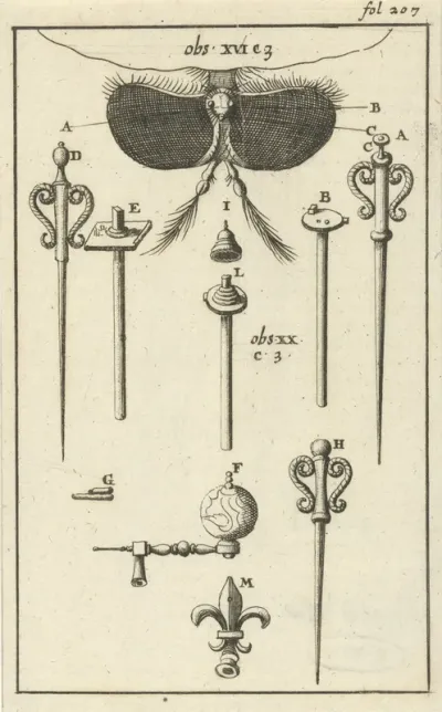 Anatomische afbeelding VIII
