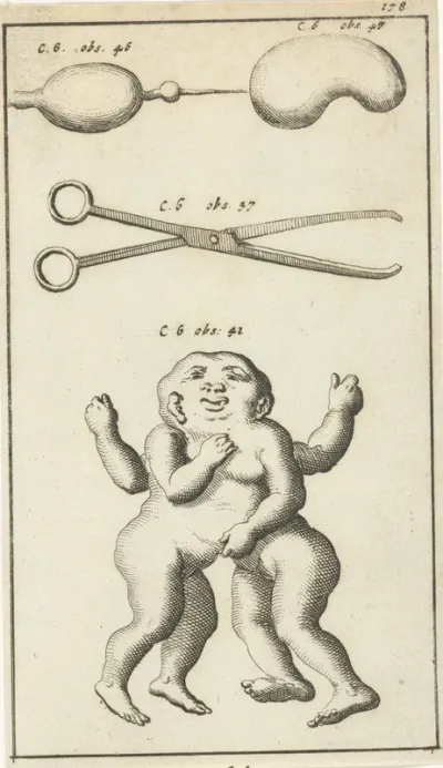 Anatomische afbeelding XV