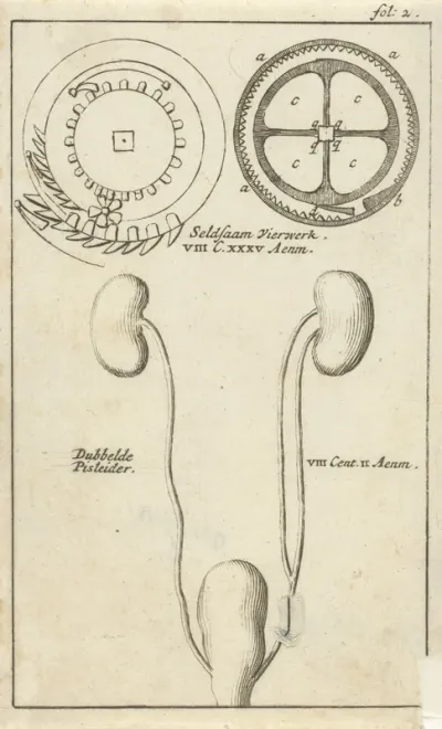 Anatomische afbeelding XXI