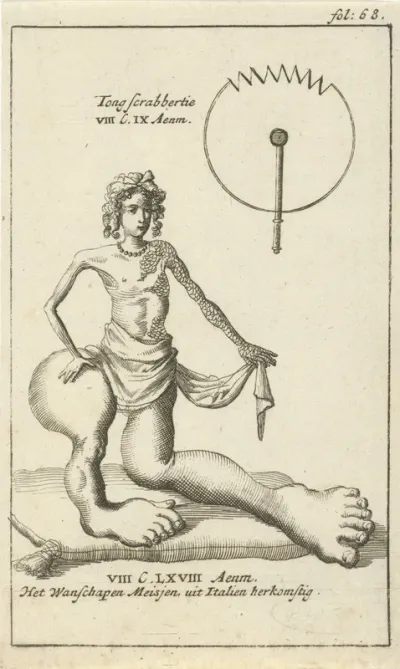 Anatomische afbeelding XXII