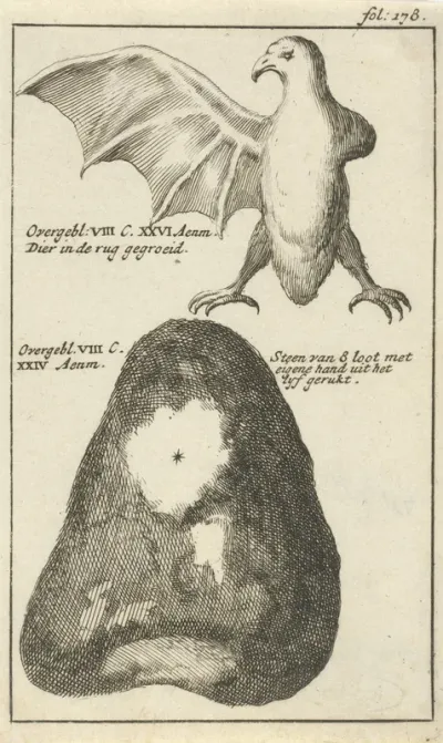 Anatomische afbeelding XXIII