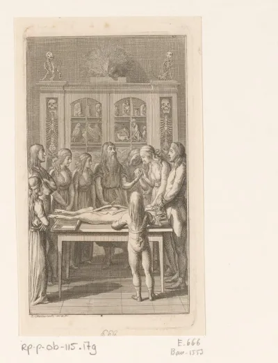 Anatomische les