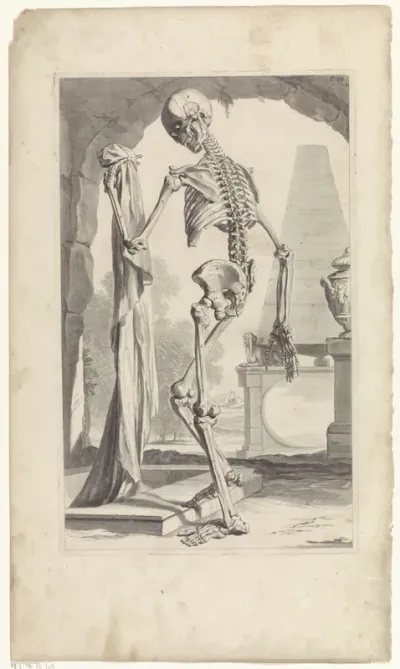 Anatomische model van een menselijk skelet (achterkant)