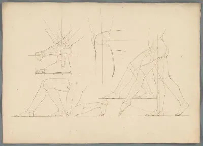 Anatomische studie van benen