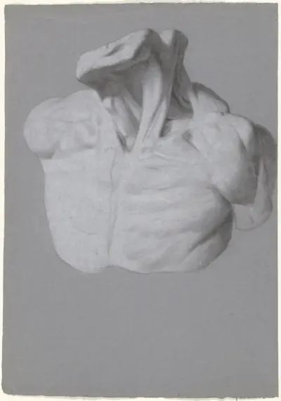 Anatomische studie van borstkas en nek