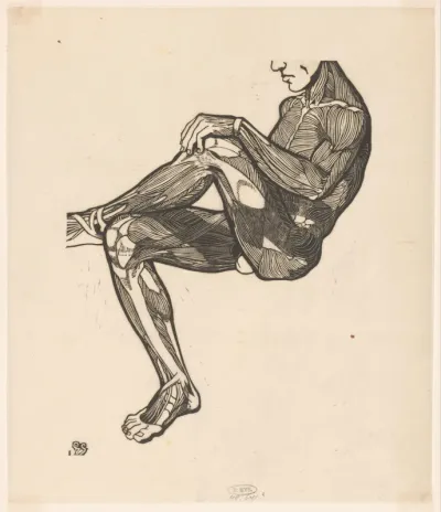 Anatomische studie van de been- en armspieren van een man