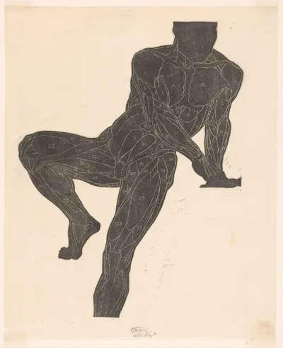 Anatomische studie van de borst-, buik- en beenspieren van een man in silhouet