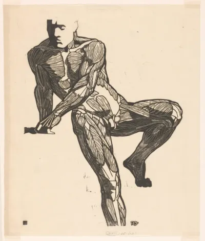 Anatomische studie van de borst-, buik- en beenspieren van een man