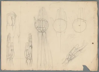 Anatomische studie van de botten in een hand
