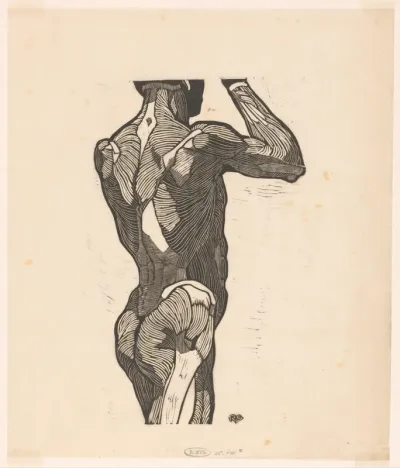 Anatomische studie van de rug- en bilspieren van een man