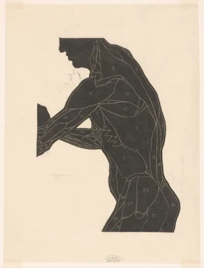 Anatomische studie van de zij- en armspieren van een man in silhouet