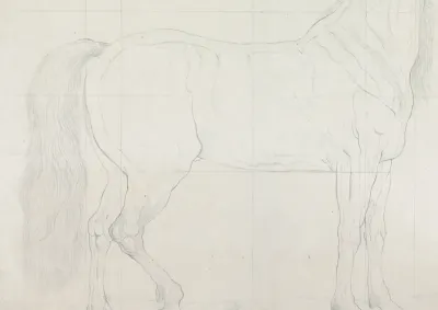 Anatomische studie van een paard, in profiel naar rechts