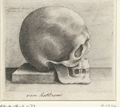 Anatomische studie van een schedel