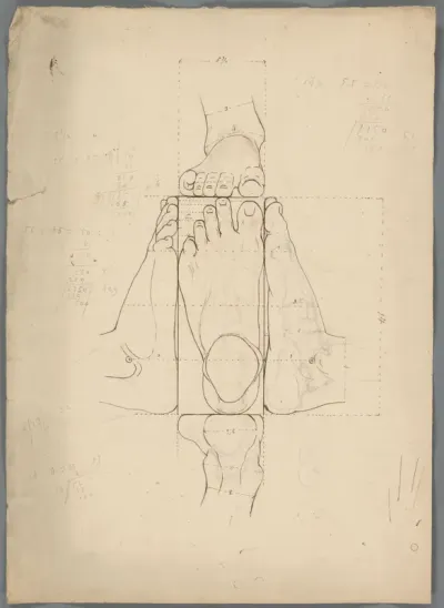 Anatomische studie van een voet