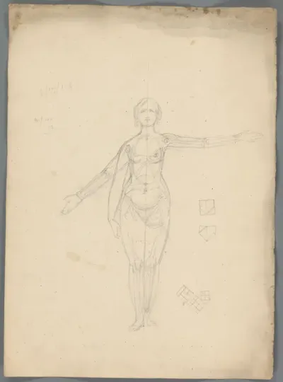 Anatomische studie van een vrouw