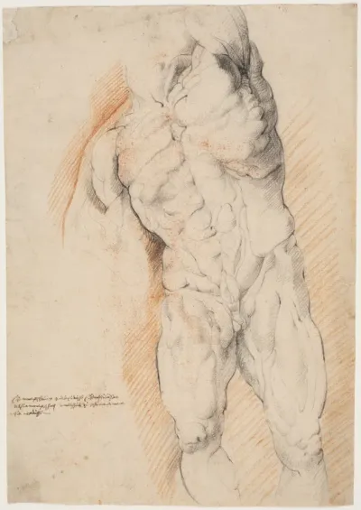 Anatomisk studie (ècorché). En stående, flået mand med løftet venstre arm set forfra