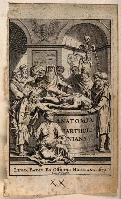 Ancient anatomists in discussion around a cadaver