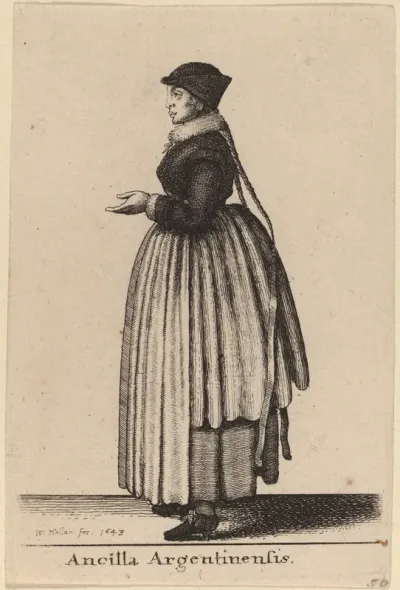 Ancilla Argentinensis