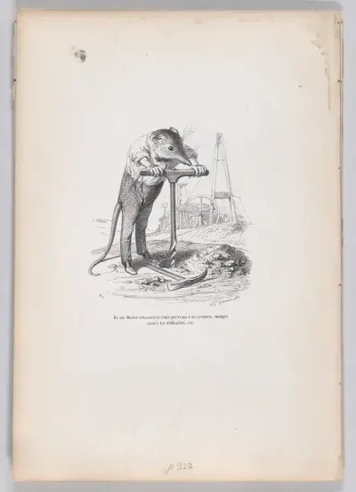 And a very obstinate vole..., from "Scenes from the Private and Public Life of Animals"