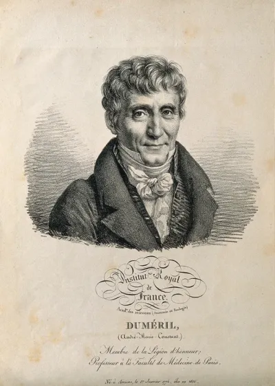 André-Marie-Constant Duméril