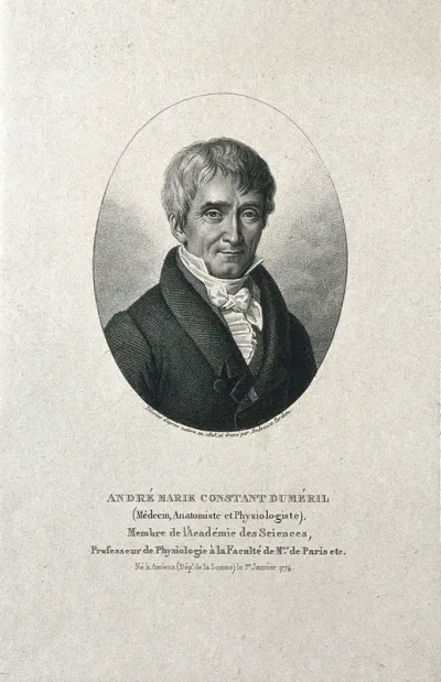 André-Marie-Constant Duméril